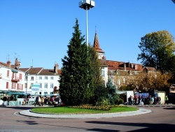 Photo paysage et monuments, Louhans - Rond-point à Louhans.