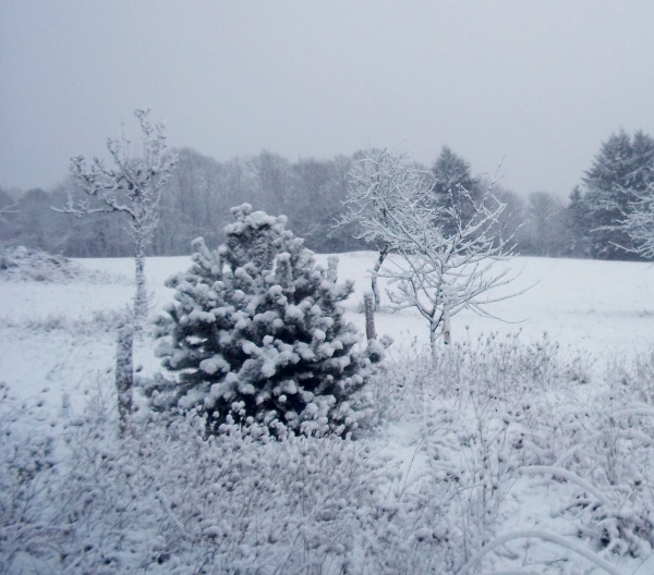 Photo Roussillon-en-Morvan - Bonjour la neige !!!!