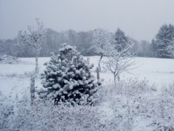 Photo paysage et monuments, Roussillon-en-Morvan - Bonjour la neige !!!!