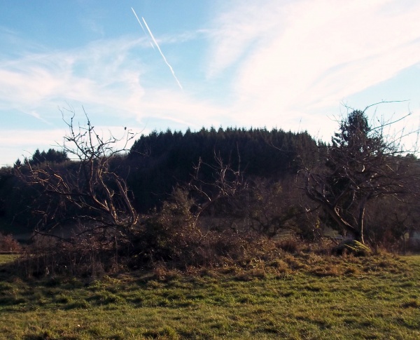 Photo Roussillon-en-Morvan - 26 Décembre après midi avec soleil !!!