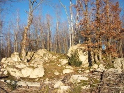 Photo faune et flore, Roussillon-en-Morvan - suite des roches de Laine