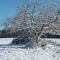 Mizieux sous la neige