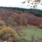 pour les amoureux de la nature , une balade , en allant sur le bas de Mizieux