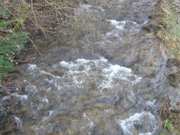 Photo Roussillon-en-Morvan - La Canche, ce petit torrent calme ou impétueux suivant les saisons. Quel capricieux !!!