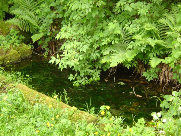 Photo Roussillon-en-Morvan - A Mizieux un superbe point d'eau.