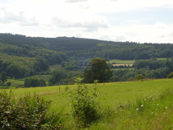 Photo Roussillon-en-Morvan - La nature y est belle au Pommoy