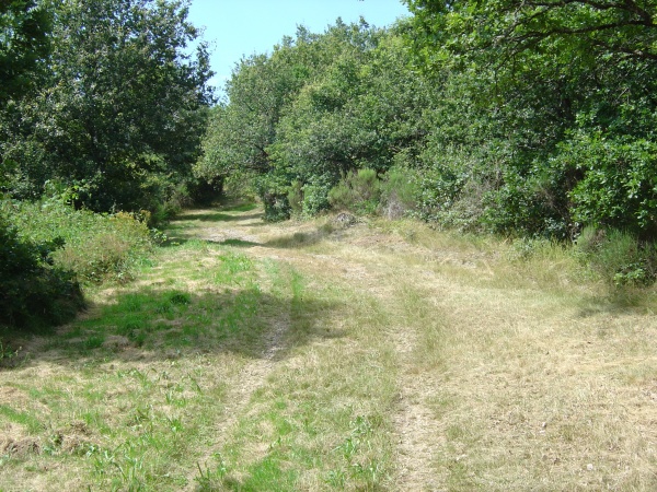 Photo Roussillon-en-Morvan - Chemin vicinal des Viollots à Aigreveaux