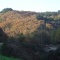 Photo Roussillon-en-Morvan - Parure Automnale des feuillus