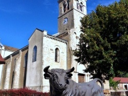 Photo paysage et monuments, Saillenard - Saillenard-71-centre.