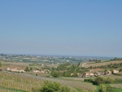 Photo paysage et monuments, Solutré-Pouilly - La Campagne