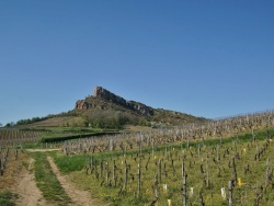 Photo paysage et monuments, Solutré-Pouilly - La Campagne