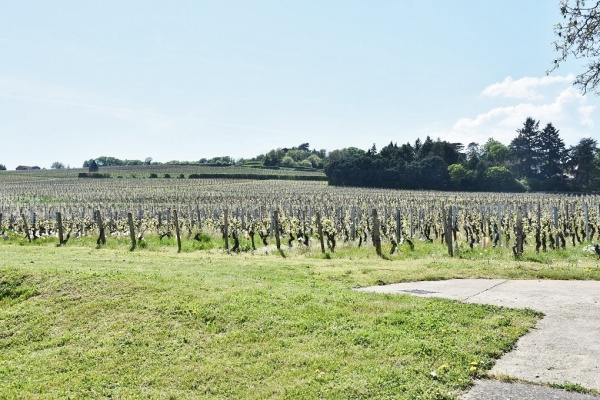 Photo Vinzelles - la Campagne