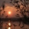 Photo La Chartre-sur-le-Loir - Levé de soleil sur le lac de la Maladrerie