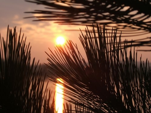 Photo La Chartre-sur-le-Loir - Levé de soleil sur le lac de la Maladrerie