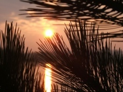 Photo paysage et monuments, La Chartre-sur-le-Loir - Levé de soleil sur le lac de la Maladrerie