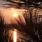 Photo La Chartre-sur-le-Loir - Levé de soleil sur le lac de la Maladrerie