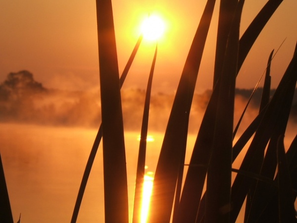 Photo La Chartre-sur-le-Loir - Levé de soleil sur le lac de la Maladrerie