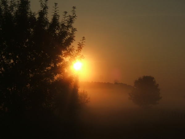 Photo La Chartre-sur-le-Loir - Levé de soleil