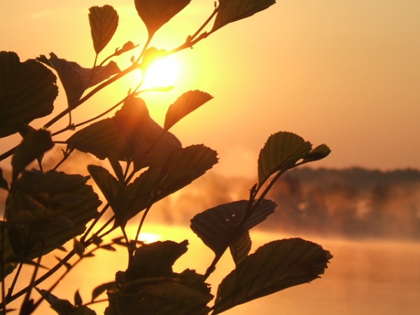 Photo La Chartre-sur-le-Loir - Levé de soleil sur le lac de la Maladrerie