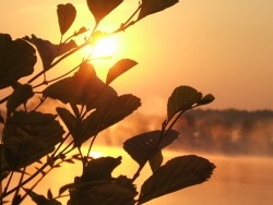 Photo paysage et monuments, La Chartre-sur-le-Loir - Levé de soleil sur le lac de la Maladrerie