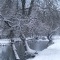 Photo La Chartre-sur-le-Loir - Un des petits bras du Loir sous la neige