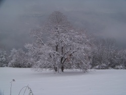 Photo paysage et monuments, Ontex - hiver