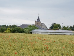 Photo paysage et monuments, Avremesnil - paysage