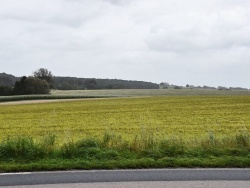 Photo paysage et monuments, Bréauté - le village