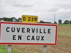 Photo paysage et monuments, Cuverville - cuverville (76280)