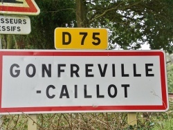 Photo paysage et monuments, Gonfreville-Caillot - gonfreville caillot (76110)