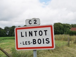Photo paysage et monuments, Lintot-les-Bois - lintot les bois (76590)