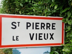 Photo paysage et monuments, Saint-Pierre-le-Vieux - saint pierre le vieux (76740)