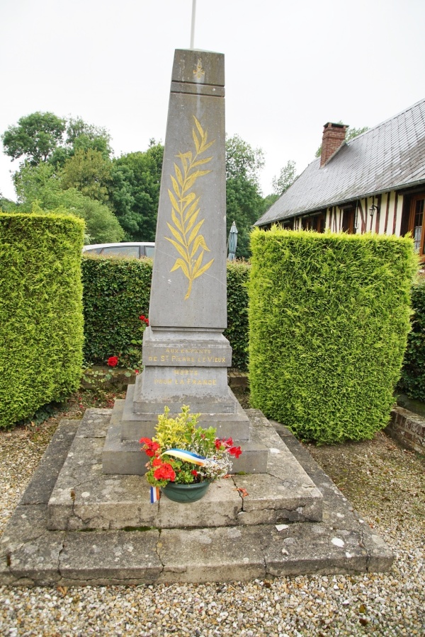 Photo Saint-Pierre-le-Vieux - le monument aux morts