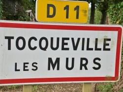 Photo paysage et monuments, Tocqueville-les-Murs - tocqueville les murs (76110)