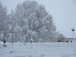 Photo paysage et monuments, Esmans - sous la neige