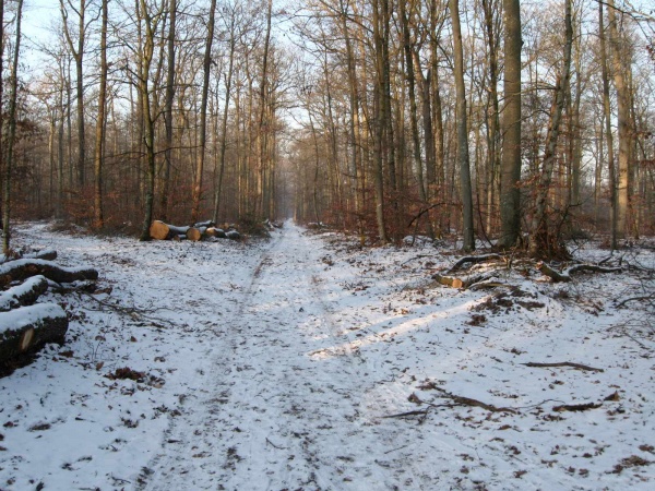 Photo Veneux-les-Sablons - VENEUX LES SABLONS EN 2009