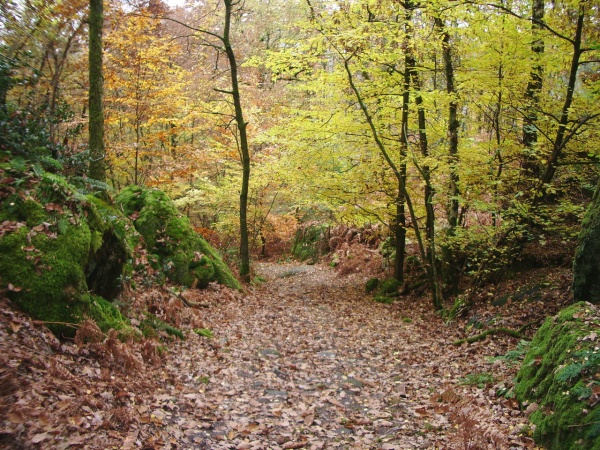 Photo Veneux-les-Sablons - VENEUX LES SABLONS EN 2007