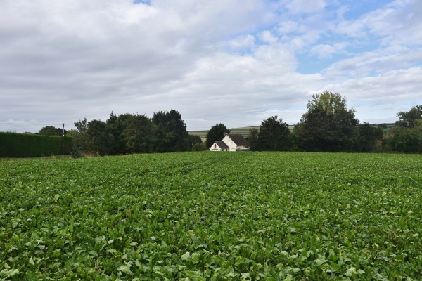 Photo Allaines - le village