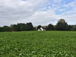 Photo paysage et monuments, Allaines - le village