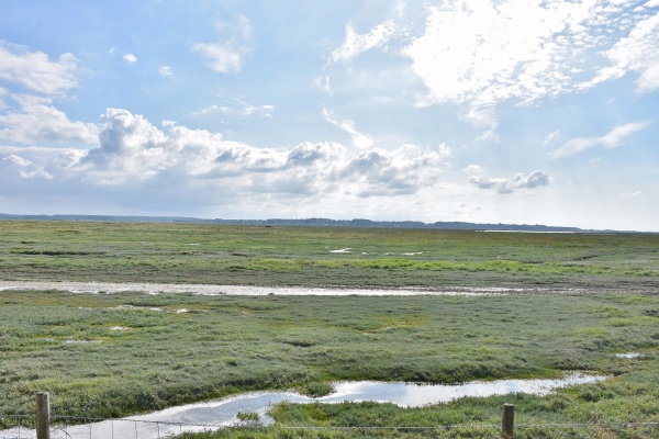 Photo Le Crotoy - la nature