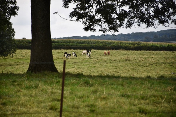 Photo Fontaine-sur-Maye - la campagne