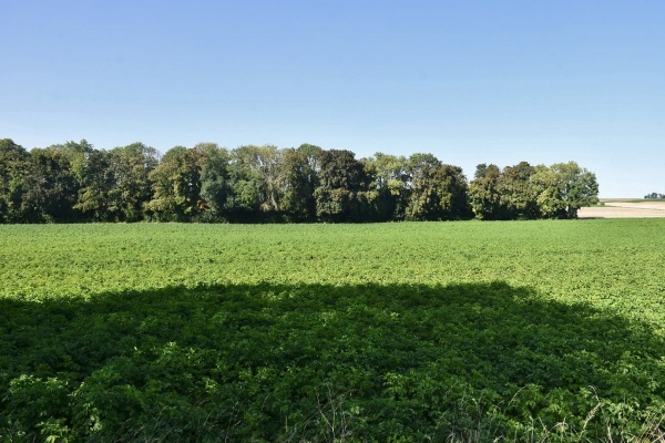 Photo Péronne - la nature