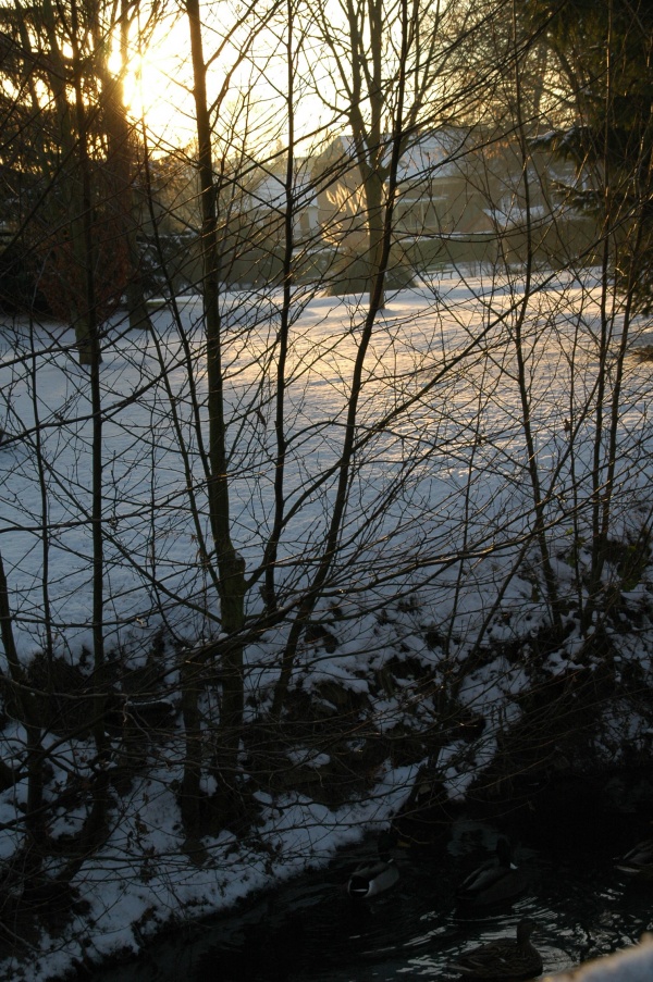Parc Demouy sous la neige