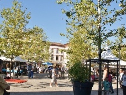 Photo paysage et monuments, Gaillac - la commune