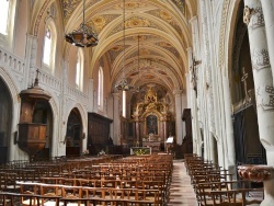 Photo paysage et monuments, Lautrec - église Saint remy