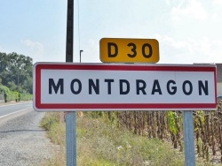 Photo paysage et monuments, Montdragon - montdragon (81440)