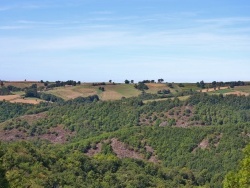 Photo paysage et monuments, Paulinet - Château de Paulin 15 Em Siècle ( Les Alentours )