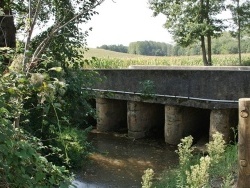 Photo paysage et monuments, Peyregoux - la commune