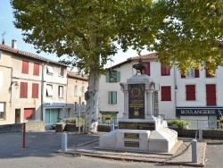 Photo paysage et monuments, Réalmont - le monument aux morts