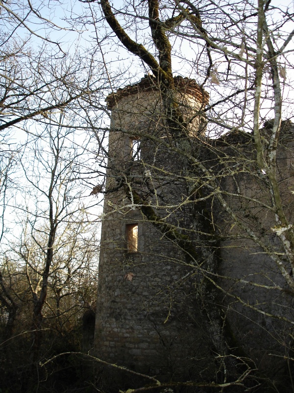 Photo Roquecourbe - Château de MONTFA